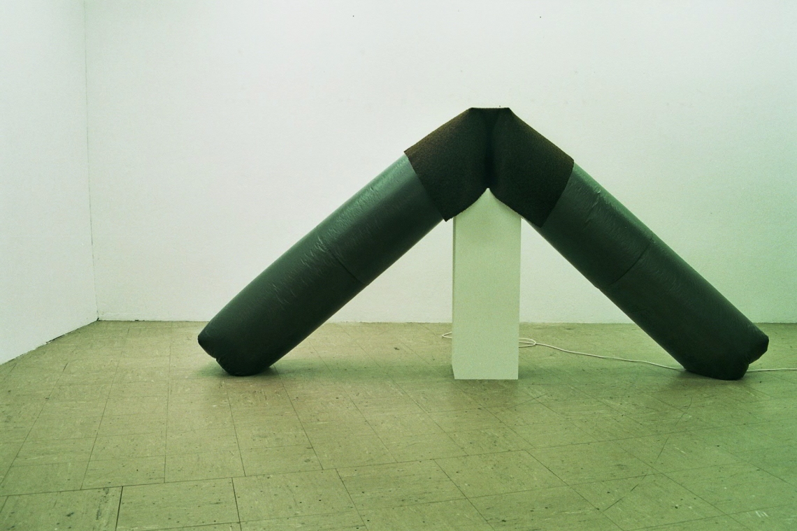 Roman Blumenthal, Installationsansicht message salon 2010