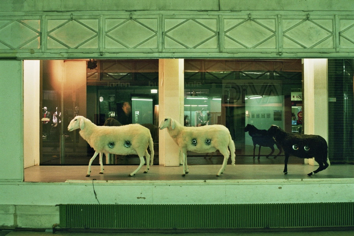 Installationsansicht. "Jewbox and Sheeps (Keenwood, Pioneer, Alpine)" Schafe mit Lautsprechern. 