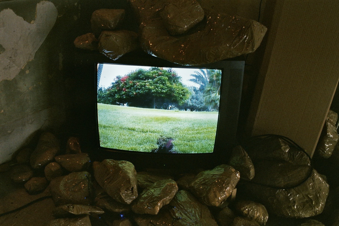 Roy Menachem Markovich "We shall overdraft", message salon 2012