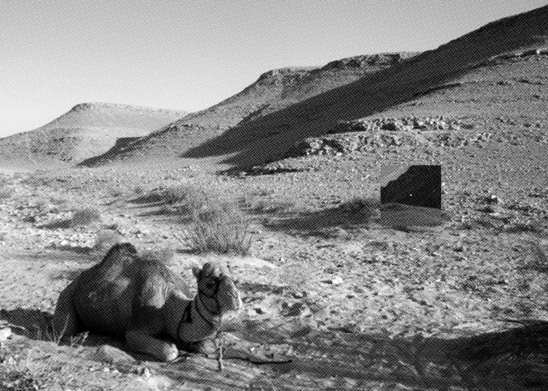 message salon embassy Zine Nr. 3
Ella Spector
"Notes from the Alps"