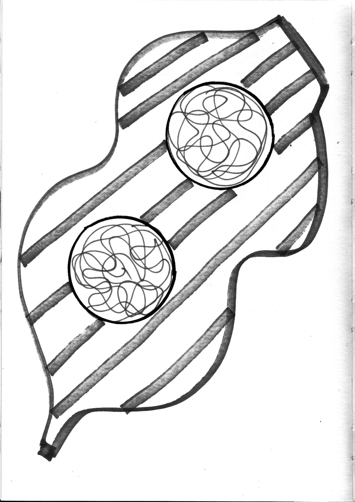 "BRAIN FOG: For or against" Daniela Palimariu 2018