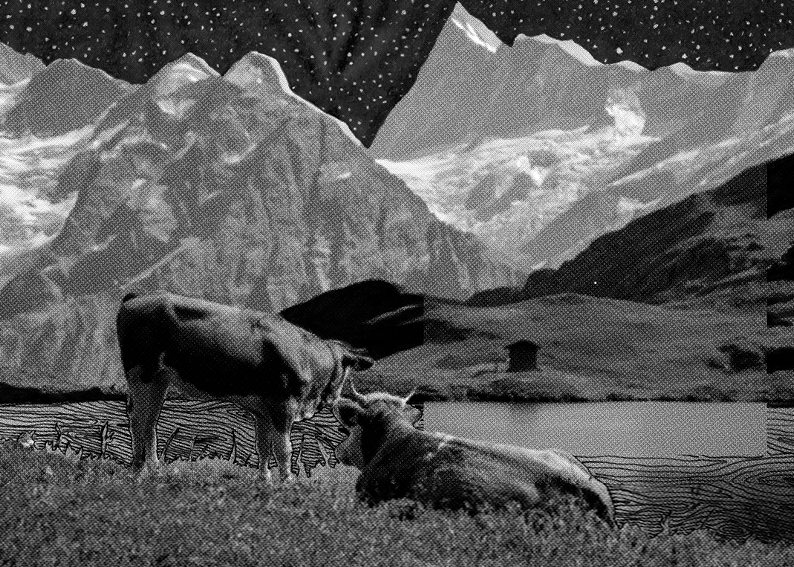 message salon embassy Zine Nr. 3
Ella Spector
"Notes from the Alps"
Ella Spector