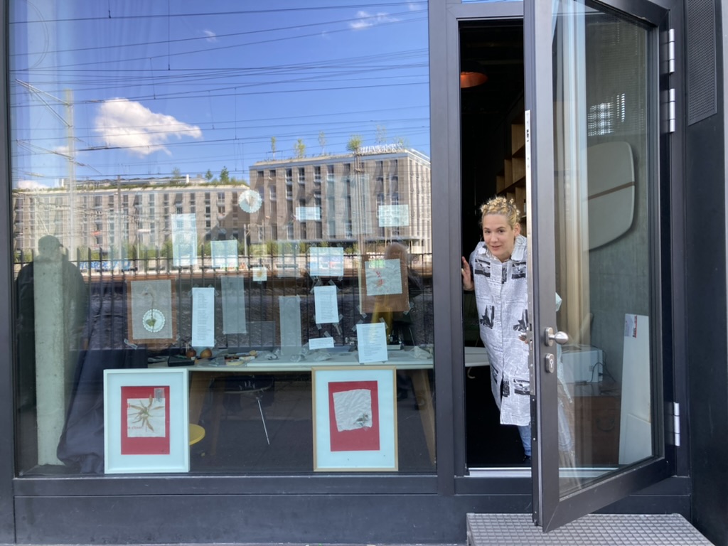 Fenster-Ausstellung am Robert-Stephenson-Weg