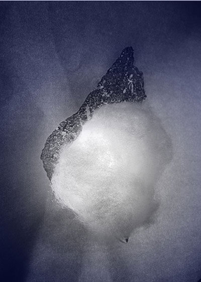 Paola Caputo und Linda Suter: aus der Serie "Bastard & Blendling", Risografie, 2011