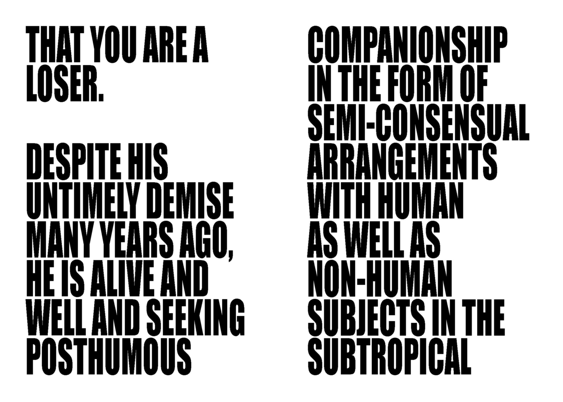 Ed Young
"The #$@&%*!"
message salon embassy Zine Nr. 18 