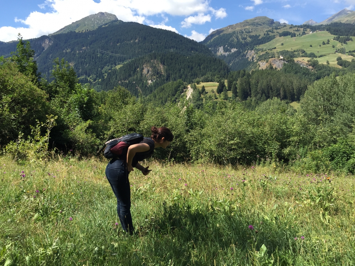 Up the mountains, in Pignia Graubünden