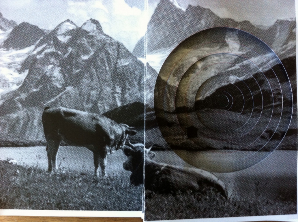 message salon embassy Zine Nr. 3
Ella Spector
"Notes from the Alps"
Production