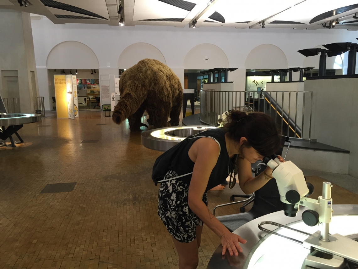 Ella explores science