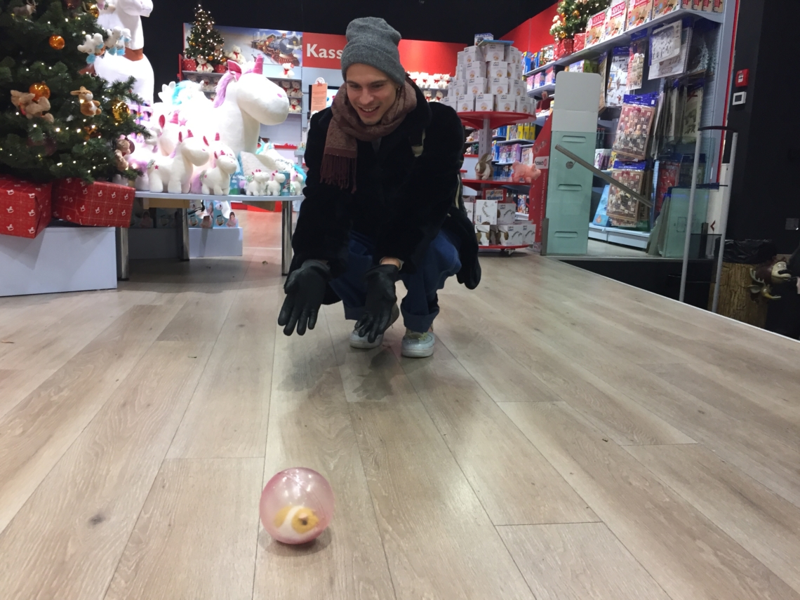 the hamster performs at toyshop