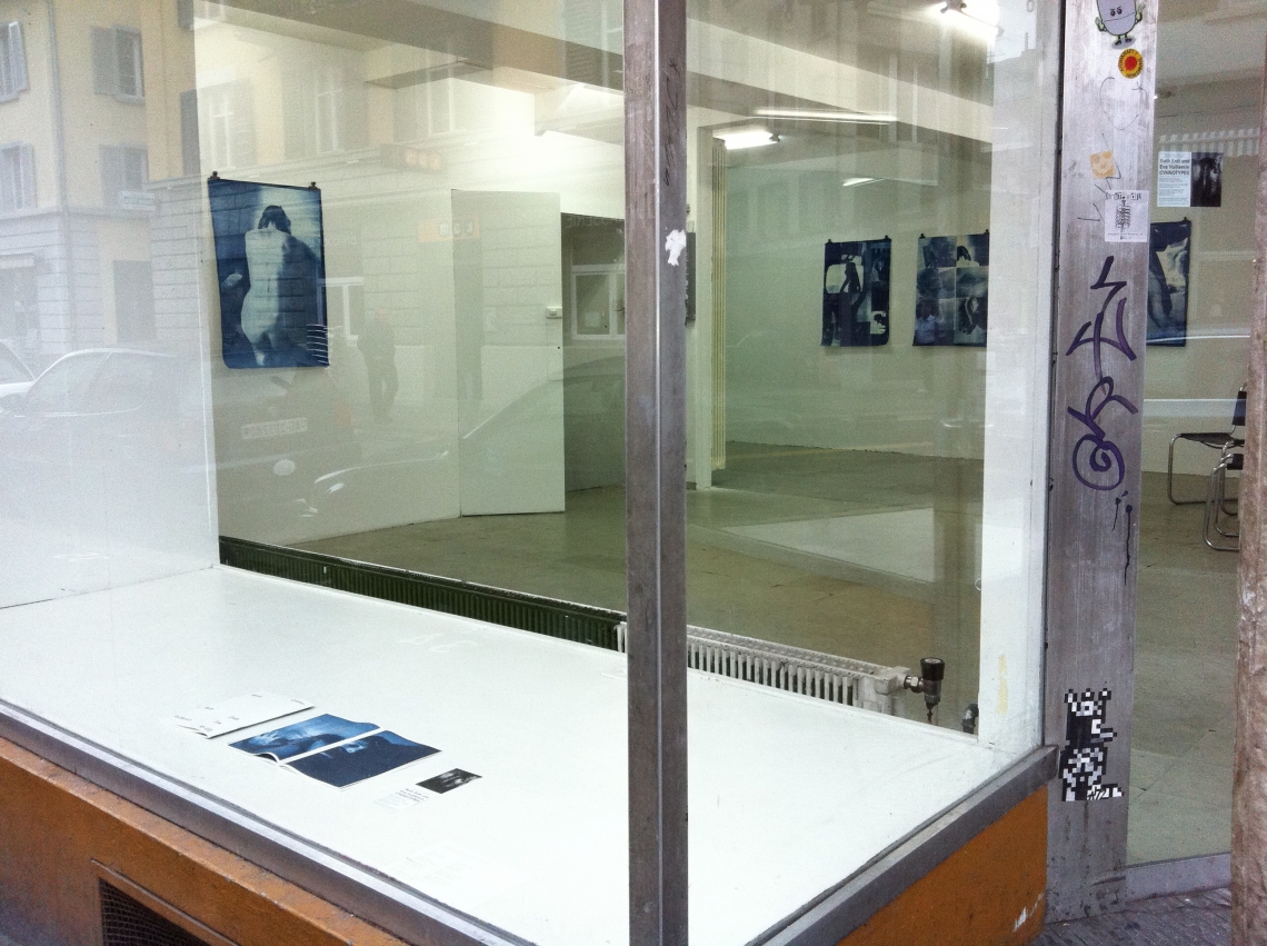 Installationsansicht, message salon 2011