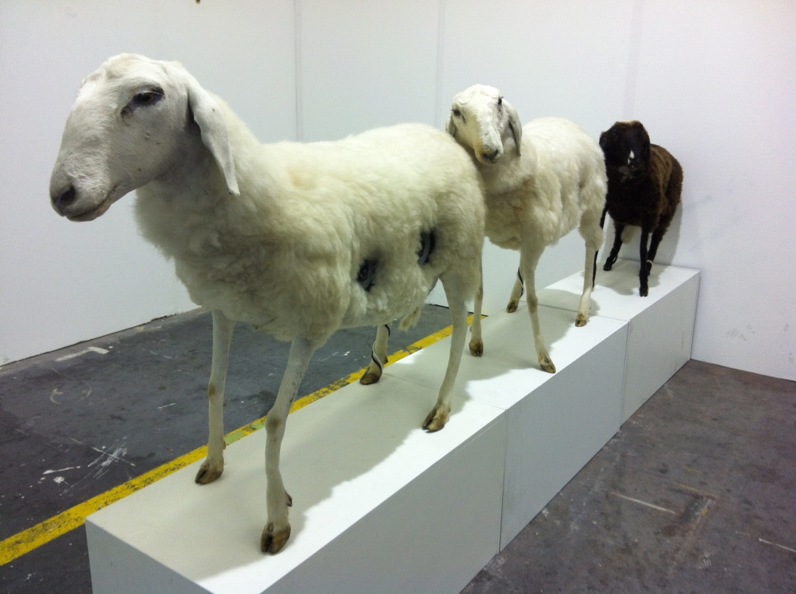 "Jewbox and Sheeps (Keenwood, Pioneer, Alpine)" Schafe mit Lautsprechern. 