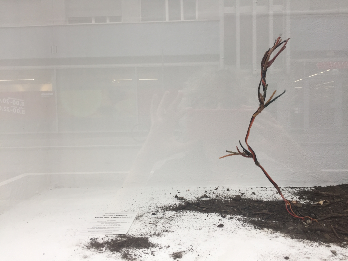 Gorod Ustinov, Erde Der Langstrasse, Installation