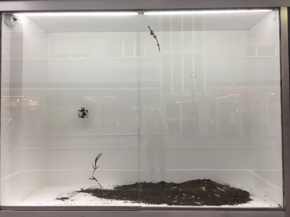 Gorod Ustinov, Erde Der Langstrasse, Installation