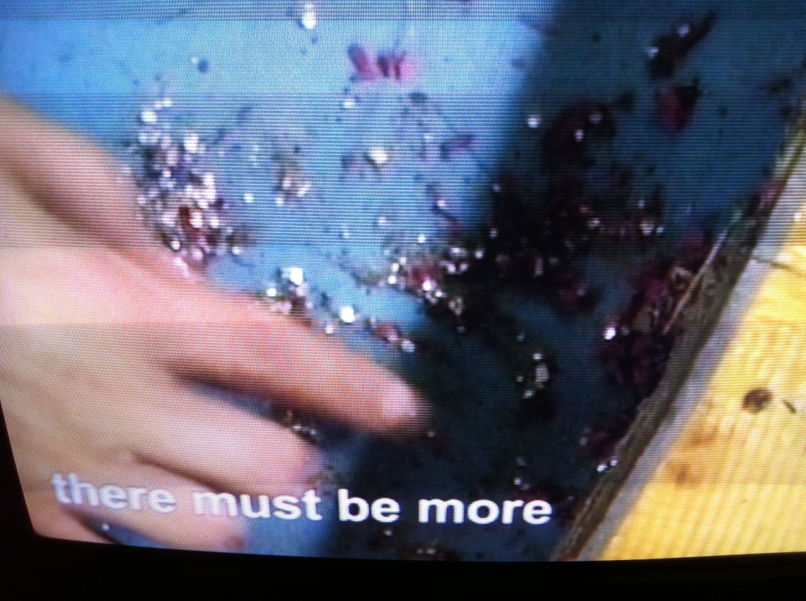 Roy Menachem Markovich "Diamonds Forever", Video, message salon 2012