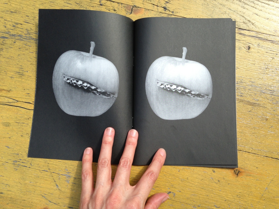 Ruth Erdt «Die Behauptung», Foto-Zine, 28 Seiten, s/w, message salon 2013