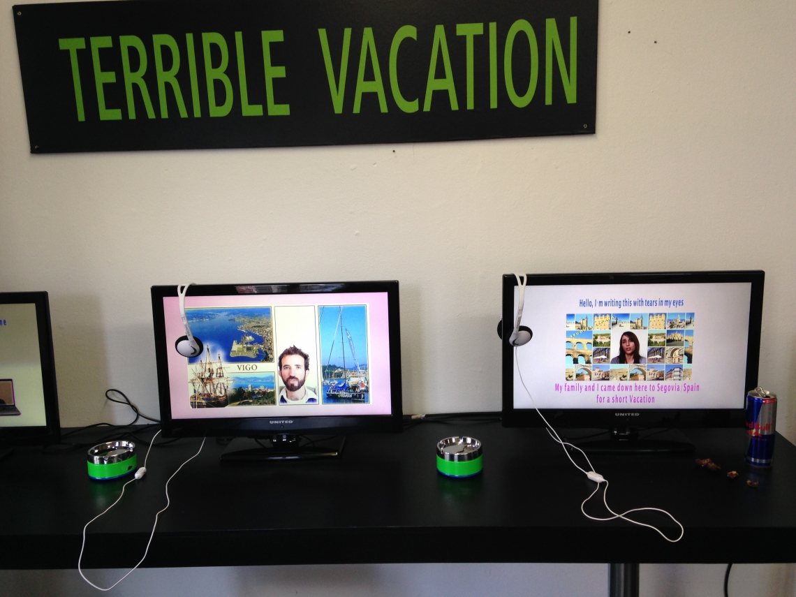 Roy Menachem Markovich" Terrible Vacation", message salon 2013