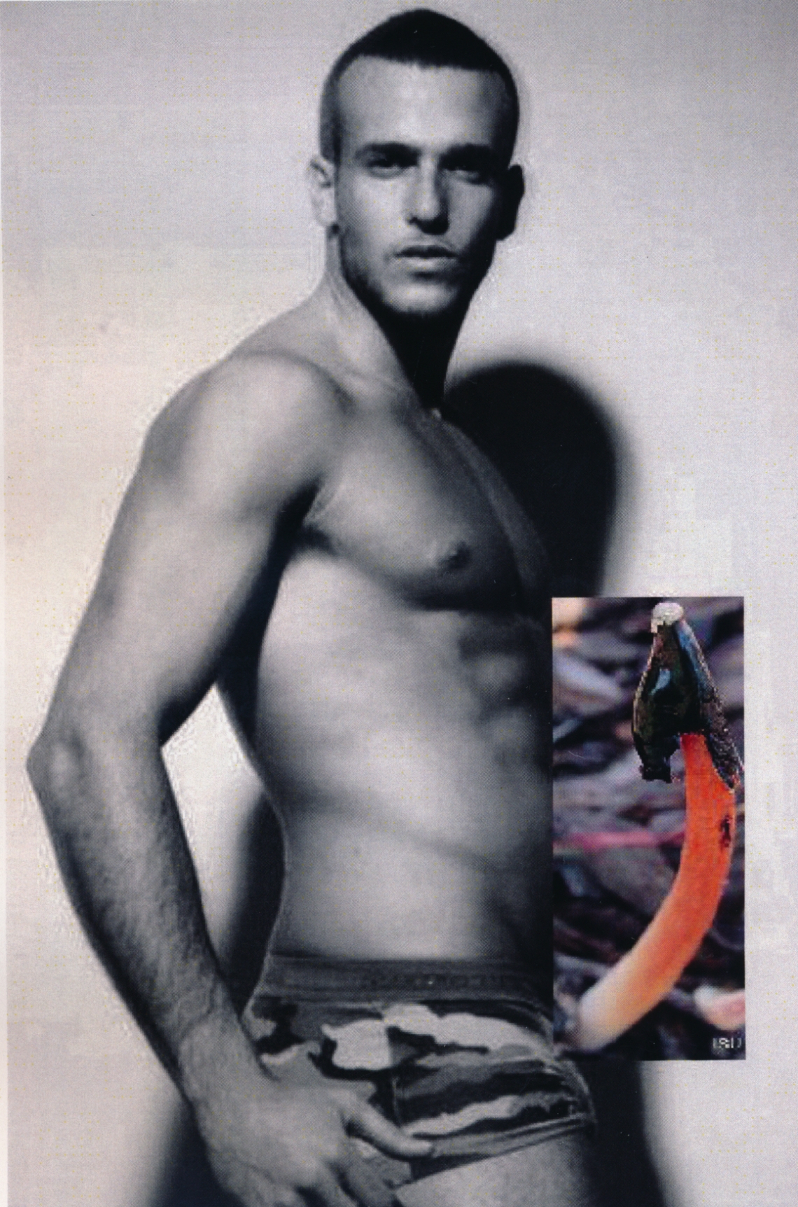 Iselinki, «Phallus Impudicus», book 2013