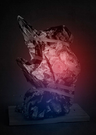 Paola Caputo und Linda Suter: aus der Serie "Bastard & Blendling", Risografie, 2011