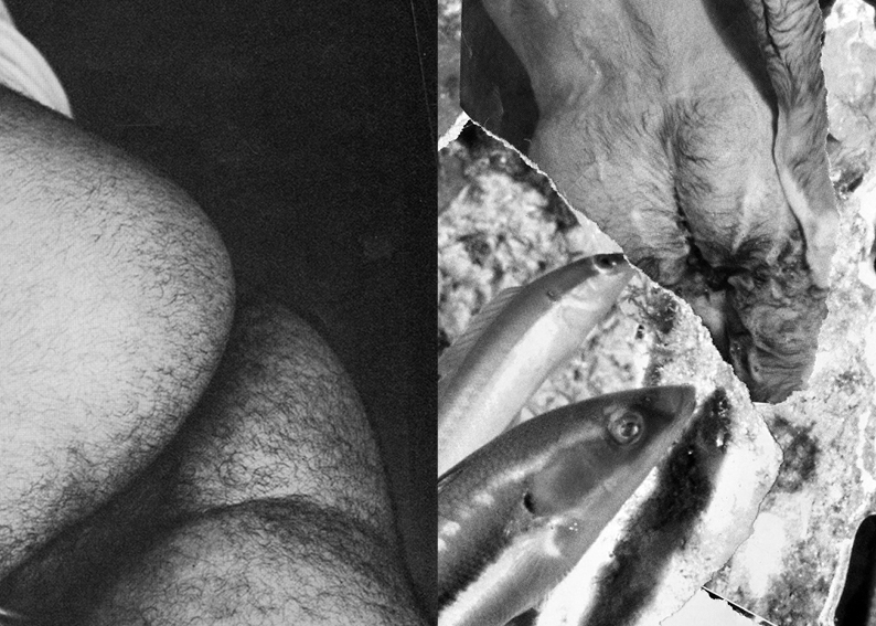 "touching" message salon embassy Zine Nr. 9 by Rafał Pierzyński