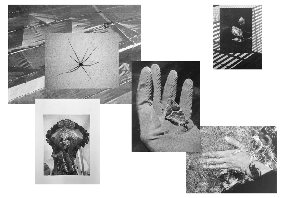 Desislava Pancheva Балкантурист
message salon embassy zine, 2018