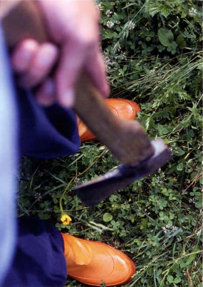 Barbara Künstle: Selbstportrait, 2003