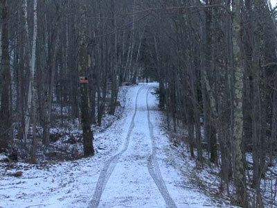 Stefan Sulzer: Camp David, 2007, Videostill