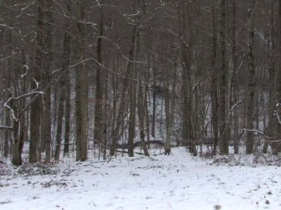 Stefan Sulzer: Camp David, 2007, Videostill